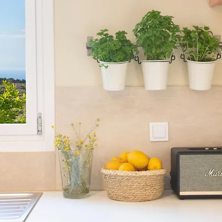 Boo Premium Living Auf Lefkada Feriehus