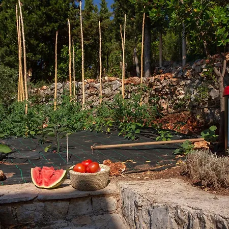 Boo Premium Living Auf Lefkada *